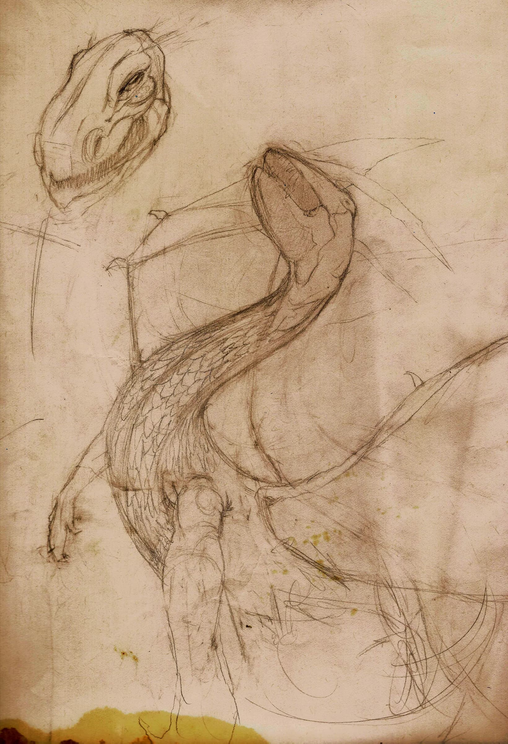 Bryan Peters drawings artwork 198